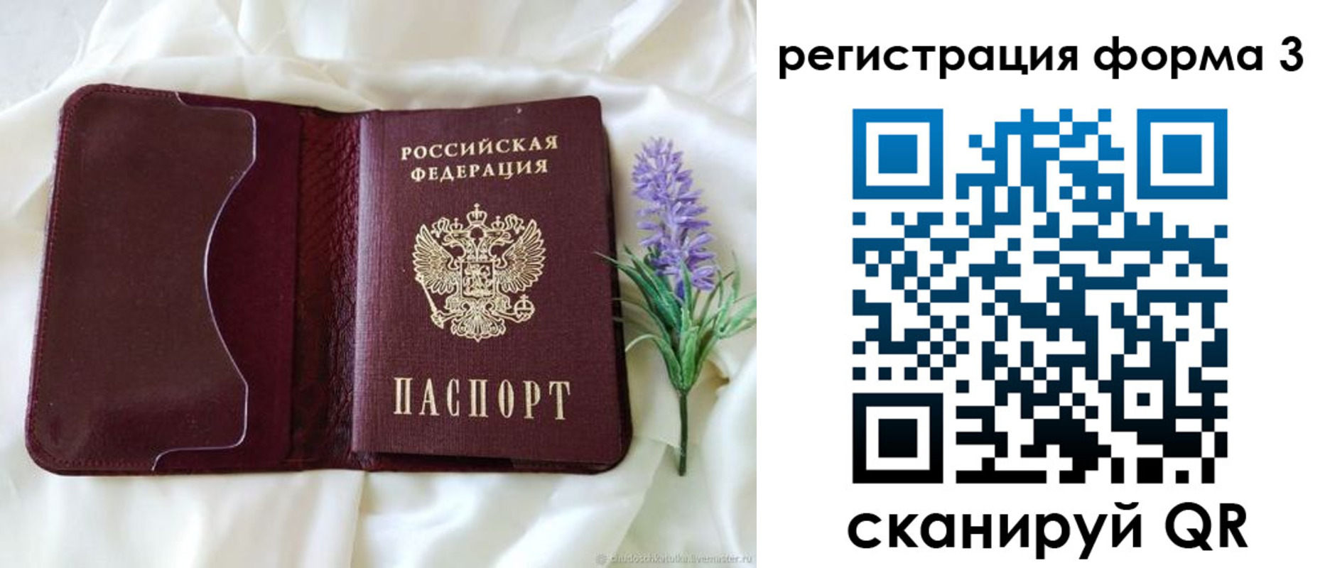 прописка 2025 в Павлово